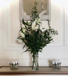 Appartement typiquement parisien cosy
